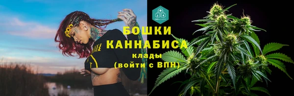 молекула духа Дмитровск