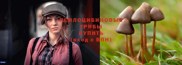 каннабис Дмитров