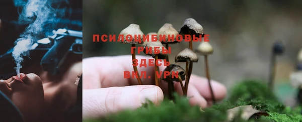 каннабис Дмитров