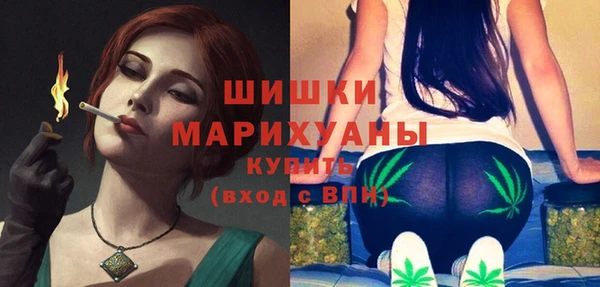 молекула духа Дмитровск