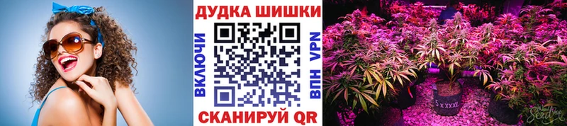 Шишки марихуана THC 21%  МЕГА ссылка  Кадников 